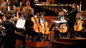 Imagem de Sinfonia Fantástica | 21 Abril | 19h00