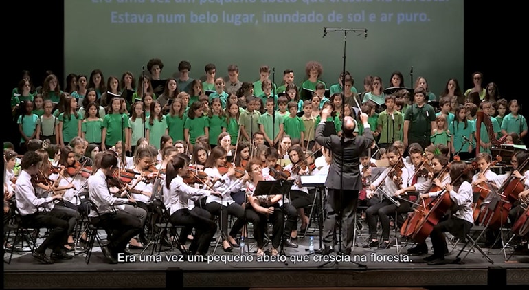 Imagem de Alexandre Delgado | O Pequeno Abeto