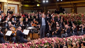 Imagem de Concerto de Ano Novo | 1 Janeiro | 10h15