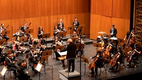 Imagem de Orquestra Sinfónica Juvenil | 11, 14, 16 Dezembro | 19h00