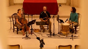 Imagem de Cardo-Roxo | Bravio | 4 Outubro | 19h00