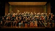Orquestra de Câmara Portuguesa | Festival Antena 2 | 24 Janeiro 19h00