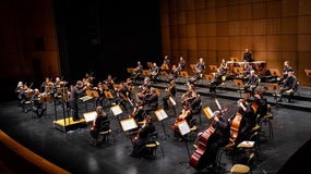 Imagem de Melleo Harmonia | Septeto, de Beethoven | 17 Dezembro | 19h00