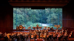 Imagem de 11ª de Chostakovitch | 19 Maio | 19h00