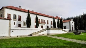 Imagem de Festival da Primavera – Viseu | 8 a 30 Abril