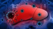 Imagem de Hepatites poderão matar mais do que malária, tuberculose e sida junta