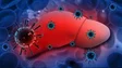 Imagem de Hepatites poderão matar mais do que malária, tuberculose e sida junta