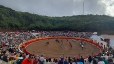 Touradas de praça da Graciosa registaram grande afluência (Vídeo)