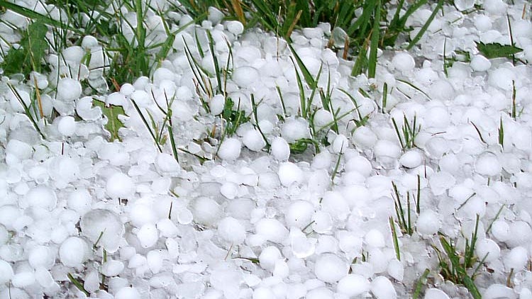 Imagem de Frio bem frio