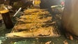 Imagem de Freguesia de São Martinho em festa (vídeo)