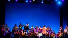 Imagem de Pintora micaelense doa 40 telas a favor da Escola de Música de Rabo de Peixe (Vídeo)