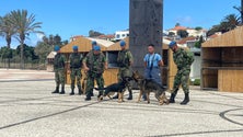 Imagem de Madeira quer juntar Canária, Açores e Cabo Verde no exercício Zarcos (áudio)