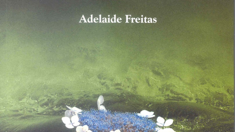 Imagem de Emanuel Melo – Adelaide Freitas: Dos Açores à América do Norte/From the Azores to North America