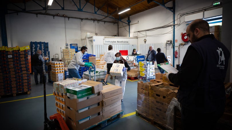 Imagem de Rede de Emergência Alimentar ajuda 79 mil pessoas