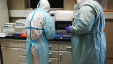 Imagem de Laboratórios dos Açores com capacidade de realizar 575 análises à Covid-19 (Vídeo)