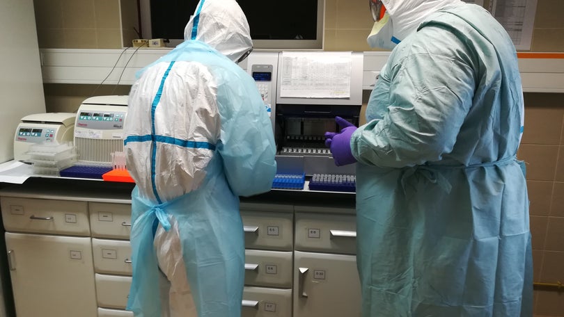 Imagem de Mais quatro casos de Covid-19 em São Miguel