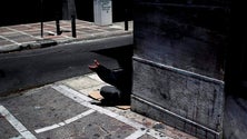 Imagem de Sociólogo avisa que o pior da crise está por vir (Vídeo)