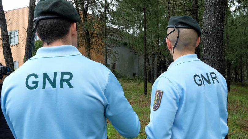 Imagem de Identificados mais de 14 mil locais por falta de limpeza de terrenos