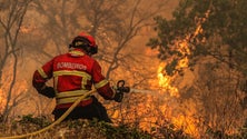 Imagem de Dezasseis fogos ativos mobilizam mais de mil bombeiros