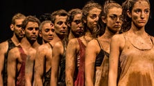 Imagem de Bailarina sequestrada pelo confinamento (vídeo)