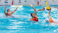 Imagem de Espanha quer sagrar-se campeã do mundo de Pólo Aquático