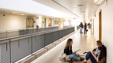 Imagem de Universidade da Madeira quer chegar aos quatro mil alunos (áudio)