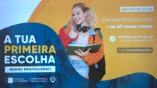 Imagem de Ensino Profissional vai oferecer 44 novos cursos no próximo ano letivo