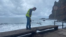 Imagem de Obras na Madalena do Mar concluídas no início do verão