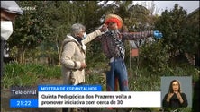 Imagem de Mostra de espantalhos está de volta aos Prazeres (vídeo)