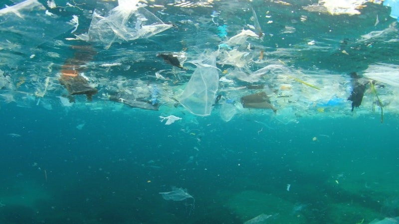 Madeira investe 1,4 ME na sensibilização dos pescadores para reduzir lixo marinho