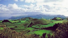 Imagem de Federação agrícola reclama subsídio que está por pagar (Som)