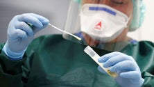 Imagem de Madeira sem novos casos de Covid-19 há 13 dias