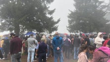 Imagem de Associação Agroecológica e Silvo-pastoril reclama mais apoios (vídeo)