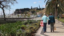 Imagem de Madeira regista 24 casos de Covid-19