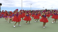Imagem de Mais iniciativas para promover a Festa da Flor (vídeo)