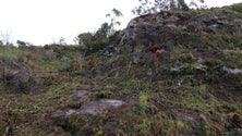 Imagem de Ribeira Brava investe 100 mil euros no Espigão