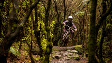 Imagem de Mountain Bike Madeira Meeting recebe cerca de meia centena de ciclistas de oito nacionalidades (áudio)