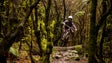 Imagem de Mountain Bike Madeira Meeting recebe cerca de meia centena de ciclistas de oito nacionalidades (áudio)