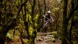 Mountain Bike Madeira Meeting recebe cerca de meia centena de ciclistas de oito nacionalidades (áudio)