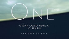 Imagem de Mar dos Açores em destaque na nova exposição do Oceanário de Lisboa (Vídeo)
