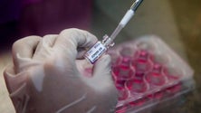 Imagem de Covid-19: Farmacêutica Moderna conclui inscrição de potencial vacina na fase final de testes