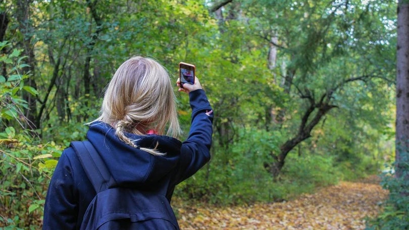 Selfies matam cinco vezes mais do que ataques de tubarão