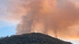 Madeira registou mais de 150 incêndios florestais entre janeiro e abril deste ano (áudio)