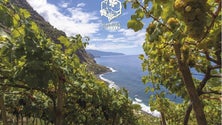 Imagem de Madeira Vintners – Cooperativa Agrícola do Funchal premiada em Espanha com o Vinho Madeira Meio Seco