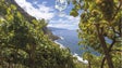 Madeira Vintners – Cooperativa Agrícola do Funchal premiada em Espanha com o Vinho Madeira Meio Seco