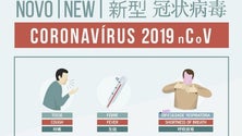 Imagem de Governo reúne com portos, saúde e economia para definir plano de prevenção (Vídeo)