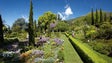 Imagem de Há mais madeirenses a visitar os Jardins do Palheiro (Vídeo)