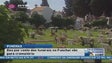 Dez por cento dos funerais no Funchal vão para cremação