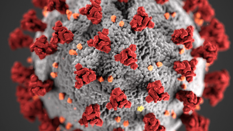 Imagem de Covid-19: Pandemia durará até fim de maio