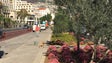 Imagem de SRETC atribui estacionamentos na doca da Avenida Sá Carneiro